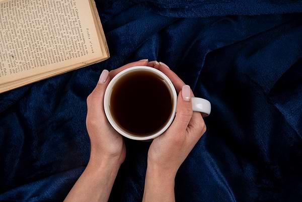 Фото - Плед євро Flannel 200x220 см (ART0214SB)