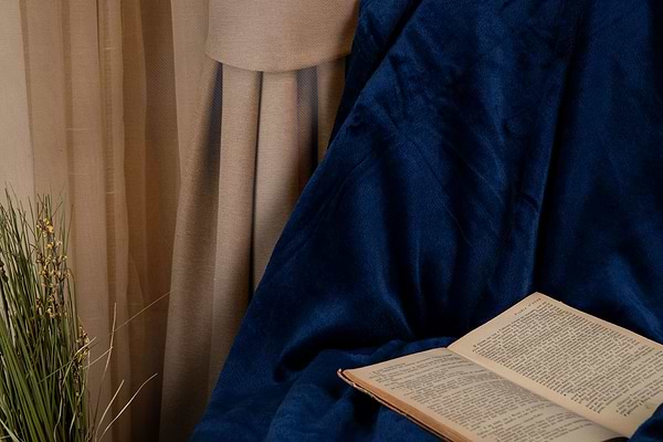 Фото - Плед євро Flannel 200x220 см (ART0214SB)