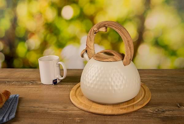 Фото - Чайник металлический Ardesto Gemini 2.5 л (AR1956KS)