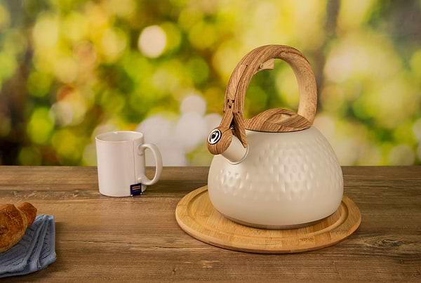 Фото - Чайник металлический Ardesto Gemini 2.5 л (AR1956KS)