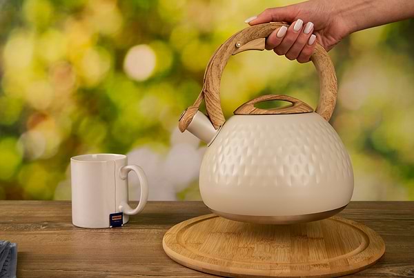 Фото - Чайник металлический Ardesto Gemini 2.5 л (AR1956KS)