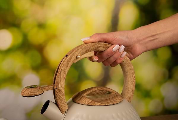 Фото - Чайник металлический Ardesto Gemini 2.5 л (AR1956KS)