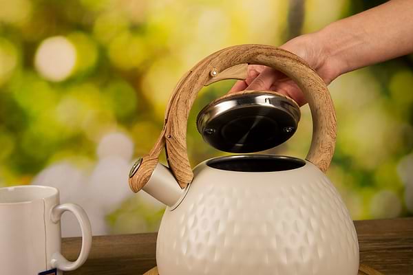 Фото - Чайник металлический Ardesto Gemini 2.5 л (AR1956KS)