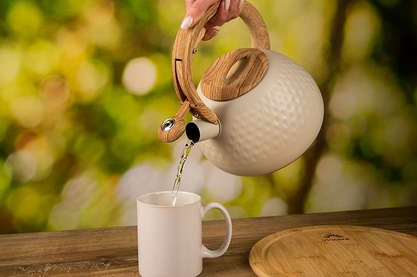 Фото - Чайник металлический Ardesto Gemini 2.5 л (AR1956KS)