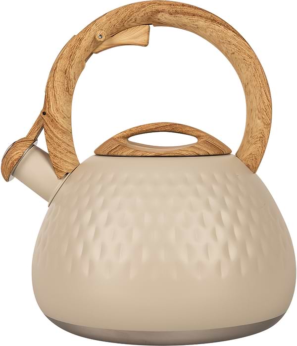 Фото - Чайник металлический Ardesto Gemini 2.5 л (AR1956KS)