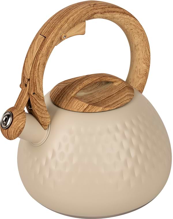 Фото - Чайник металлический Ardesto Gemini 2.5 л (AR1956KS)