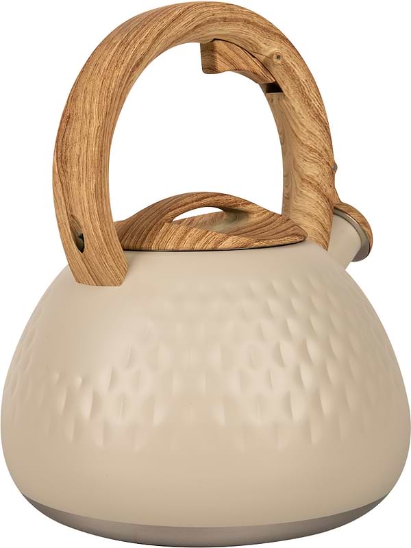 Фото - Чайник металлический Ardesto Gemini 2.5 л (AR1956KS)