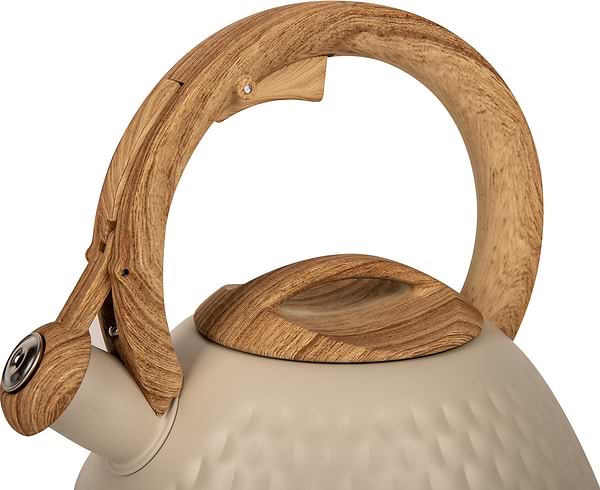 Фото - Чайник металлический Ardesto Gemini 2.5 л (AR1956KS)