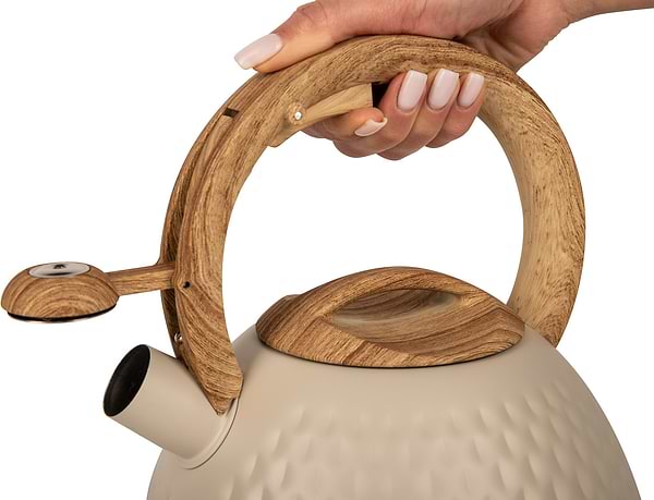 Фото - Чайник металлический Ardesto Gemini 2.5 л (AR1956KS)