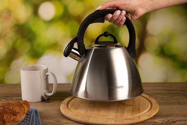Фото - Чайник металевий Ardesto Gemini 2.5 л Grey (AR1948KS)