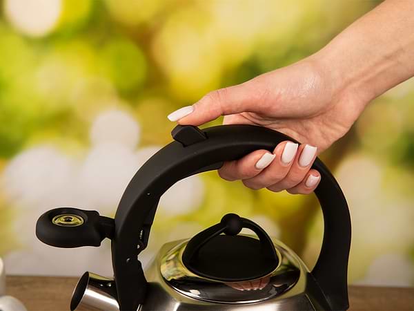 Фото - Чайник металевий Ardesto Gemini 2.5 л Grey (AR1948KS)