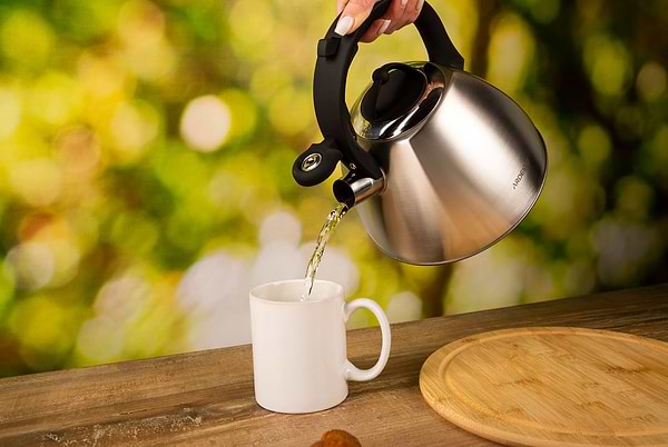 Фото - Чайник металевий Ardesto Gemini 2.5 л Grey (AR1948KS)