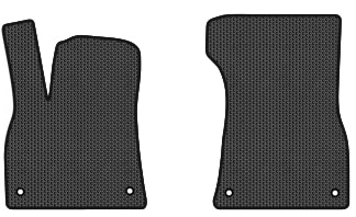 Фото - EVA коврики в салон авто передние EVAtech для E-tron Quattro (GE) Audi 2018 1 поколение SUV Canada (AU11958AM2AV4SBB)