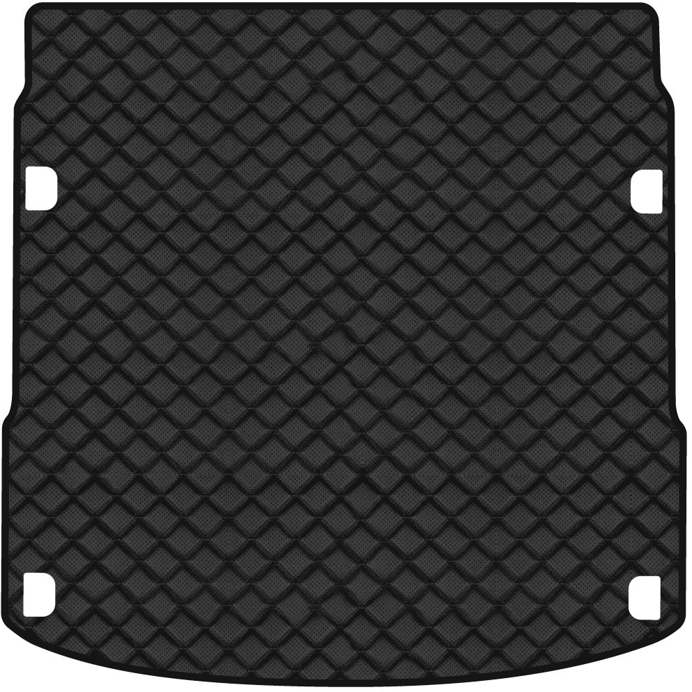 Килимок з екошкіри в багажник авто EVAtech ECO для E-tron Quattro (GE) Audi 2018 1 покоління SUV Canada AU11958B1BBB