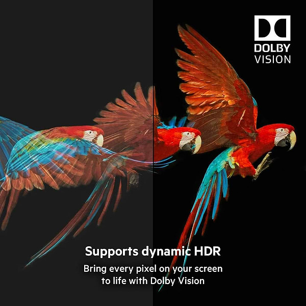 Фото - Кабель HDMI Belkin HDMI (M/M) Belkin 2 м Black (AV10175BT2MBKV2)