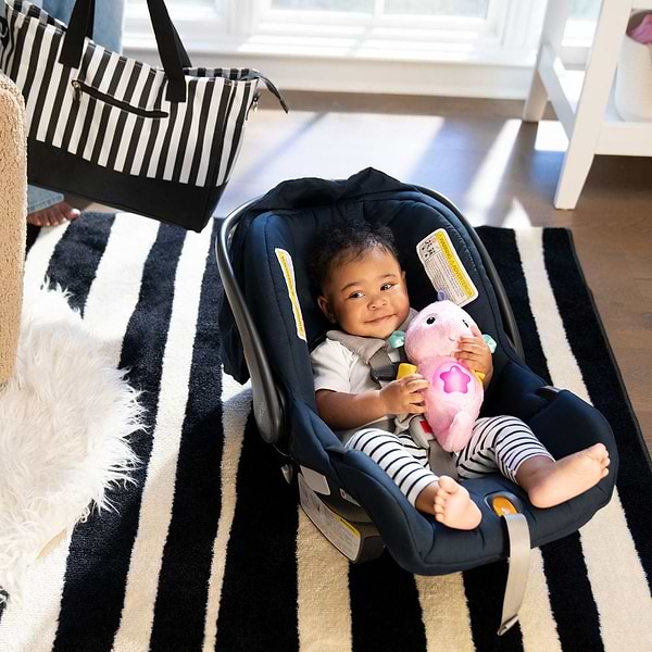 Фото - Інтерактивна іграшка Baby Einstein Sea Dreams Seahorse (17400.13)