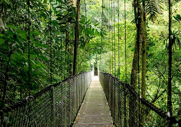 Фото - Ноутбук HP Probook 4-G1a (B9ZK3ET) Pike Silver