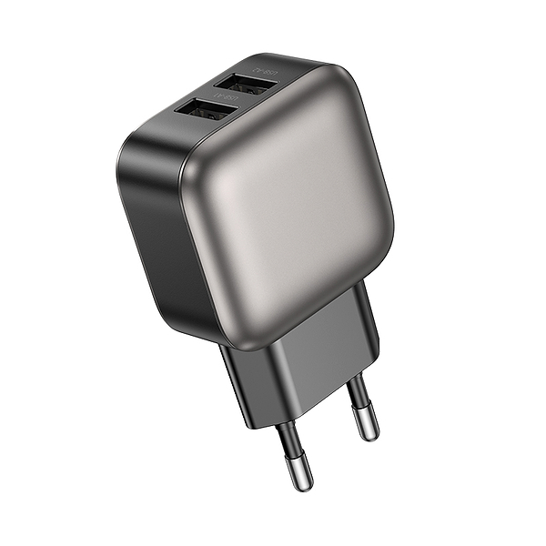 Фото - Мережевий зарядний пристрій BOROFONE BAS51A Absolute dual-port charger Black (6941991116100)