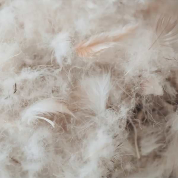 Фото - Одеяло зимнее двуспальное евро MirSon 100% пуху № 092 "Beatrice" 200х220 см (2200007406982)