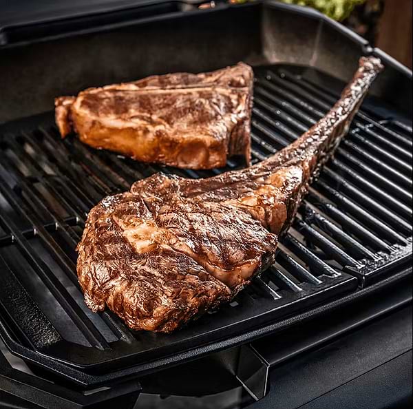 Фото - Гриль-барбекю електричний Weber 2000 з підставкою (85010079)