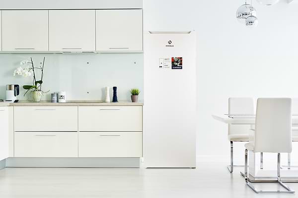 Фото - Морозильна камера INTERLUX ILF-1255NFS