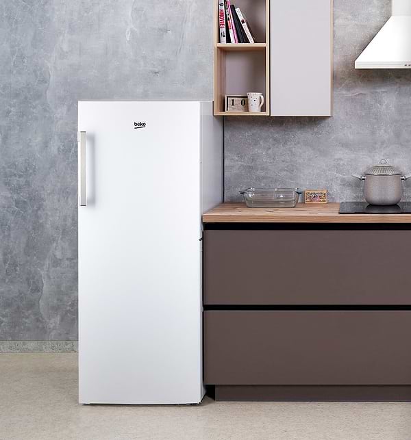 Фото - Морозильная камера Beko B1RFNE273W