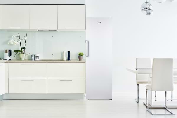 Фото - Морозильная камера Beko B1RFNE313W