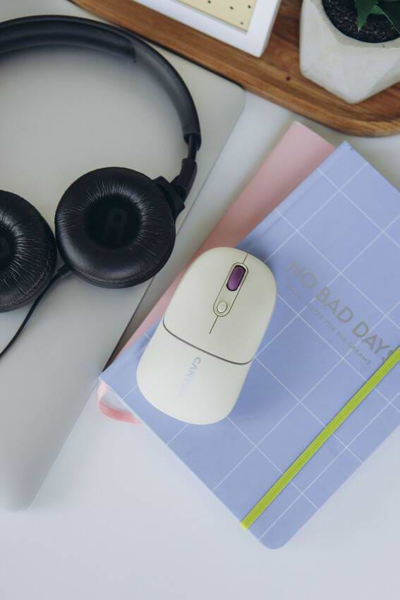 Фото - Мышь беспроводная Canyon MW-22 Dual Band RGB Wireless Rice (CNS-CMSW22RC)