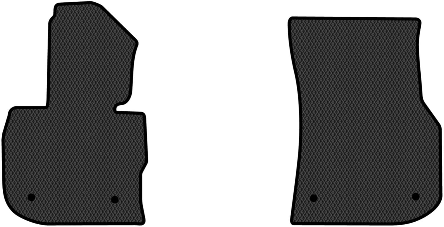 EVA килимки в салон авто передні EVAtech для X4 (GO2) BMW 2018 2 покоління SUV EU (BM1421AB2BW4RBB)