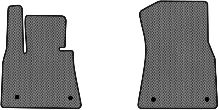 EVA килимки в салон авто передні EVAtech для X5 (G05) BMW 2018 4 покоління SUV EU (BM1523A2BW4RGB)