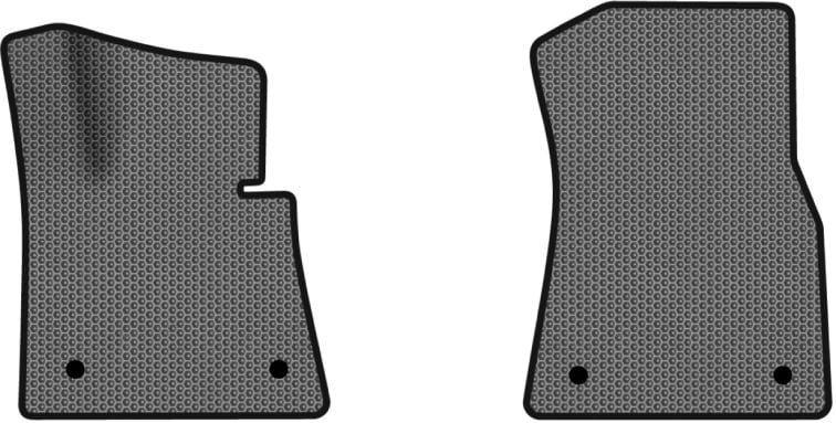 EVA килимки в салон авто передні EVAtech для X5 (G05) BMW 2018 4 покоління SUV EU (BM1523AD2BW4SGB)