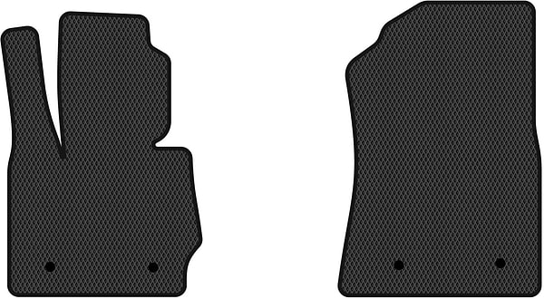 Фото - EVA коврики в салон авто передние EVAtech для X3 (F25) BMW 2010-2017 2 поколение SUV USA (BM31393A2RBB)