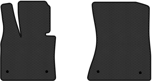 Фото - EVA коврики в салон авто передние EVAtech для X6 (E71) BMW 2008-2013 1 поколение SUV EU (BM332A2BW4RBB)