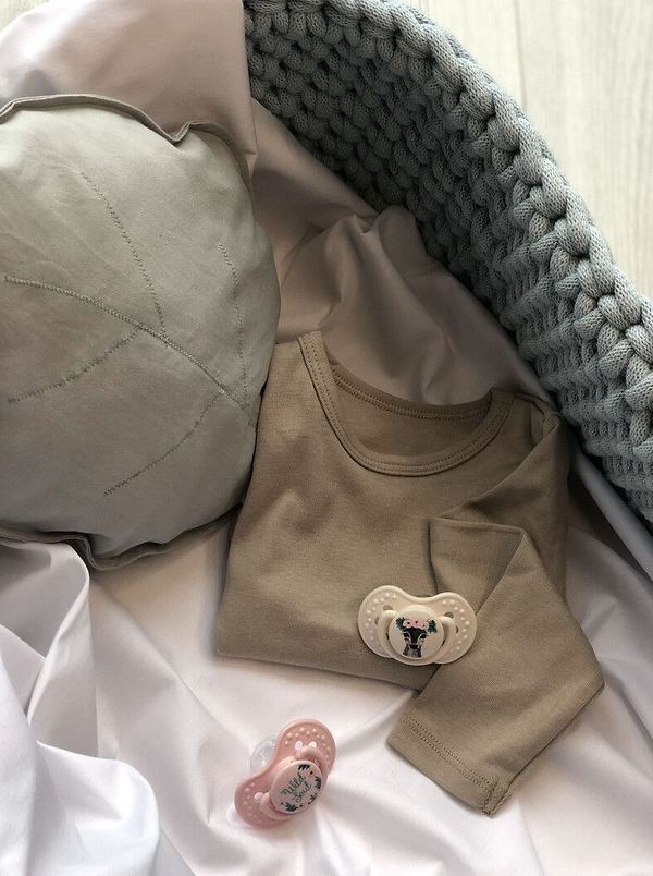 Фото - Динамическая пустышка Lovi 0-3 м-цев 2 шт. Wild Soul Girl (22/882girl)