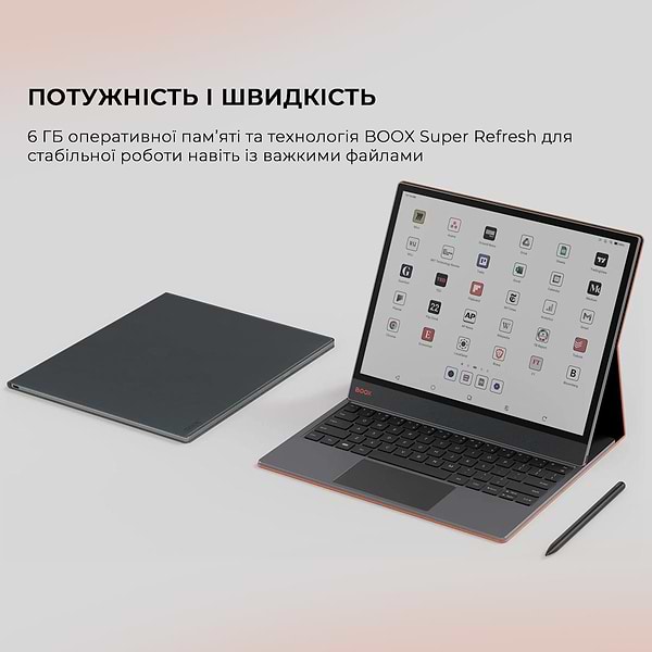 Фото - Электронная книга BOOX Tab X С