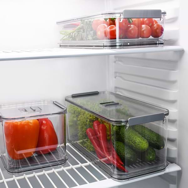 Фото - Ємність для зберігання Homax Контейнер для хол. з вент. отвором, піддоном для збереження св. продуктів 2,8 л 35,6 х16, 3х7, 9 см (BR-06)