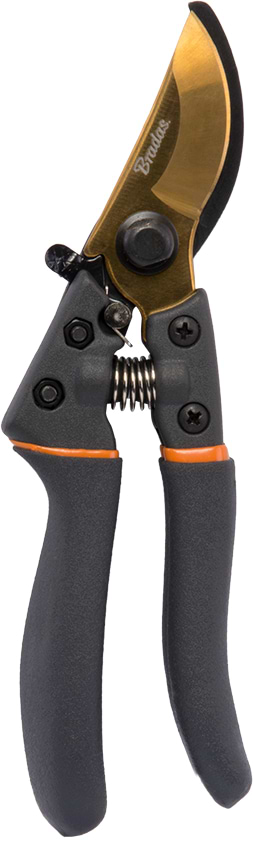 Секатор BRADAS V-SERIES SK5 (KT-V1021)