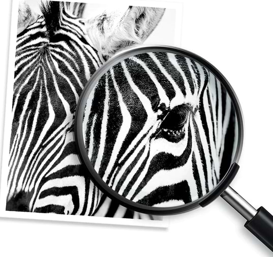 Фото - Картридж для принтеров и МФУ HP CZ101AE №650 Black