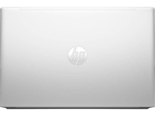 Фото - Ноутбук HP Probook 455-G10 (7L762ET) Pike Silver Plastic