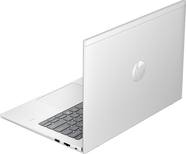 Фото - Ноутбук HP ProBook 4-G1i (C44YWET) Pike Silver