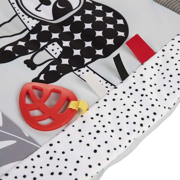 Фото - Розвиваючий килимок Canpol babies BabiesBoo (68/094)