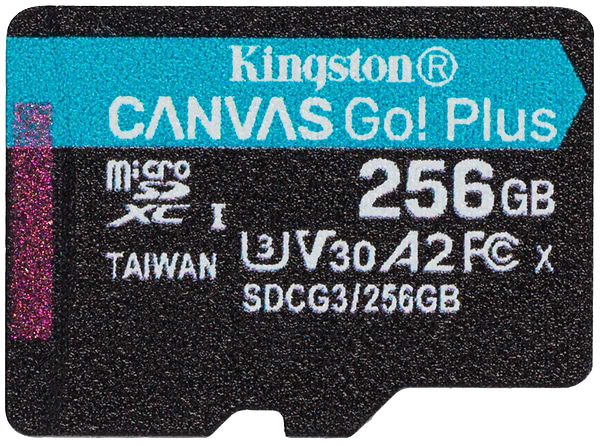 Фото - Карта памяти Kingston MicroSDXC 256GB Canvas Go Plus Сlass 10 A2 U3 V30 (SDCG3/256GBSP)