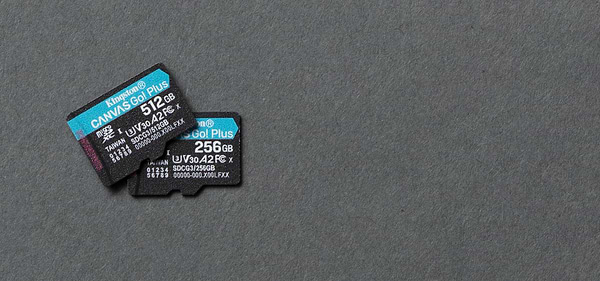 Фото - Карта памяти Kingston MicroSDXC 256GB Canvas Go Plus Сlass 10 A2 U3 V30 (SDCG3/256GBSP)