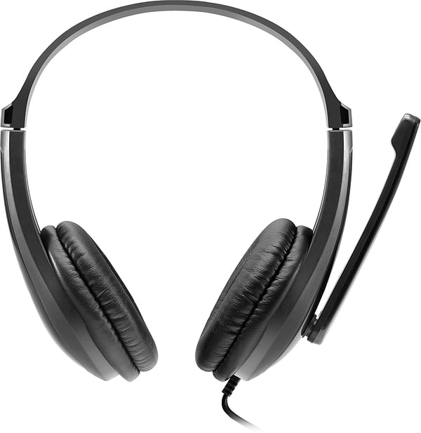 Фото - Гарнітура дротова Canyon CNS-CHSC1B Black