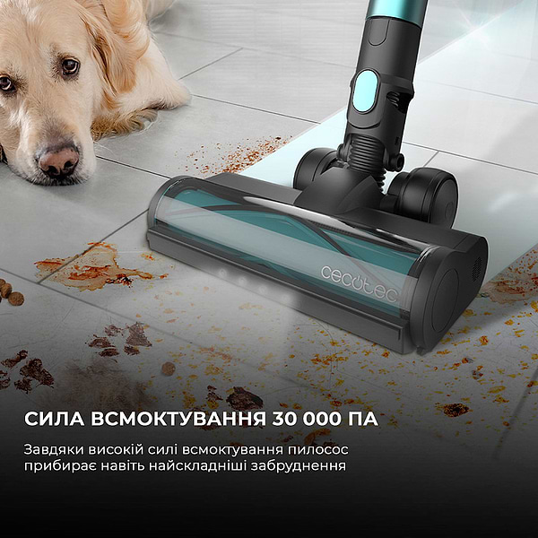 Фото - Пилосос ручний для дому Cecotec Conga Rockstar 2500 Thunder Flex Animal (CCTC-08427)
