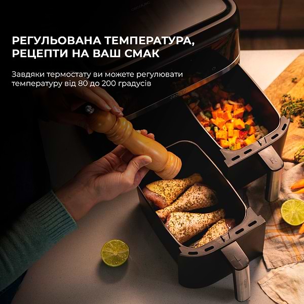Фото - Мультипечь Cecotec Cecofry Advance Double (CCTC-04338)