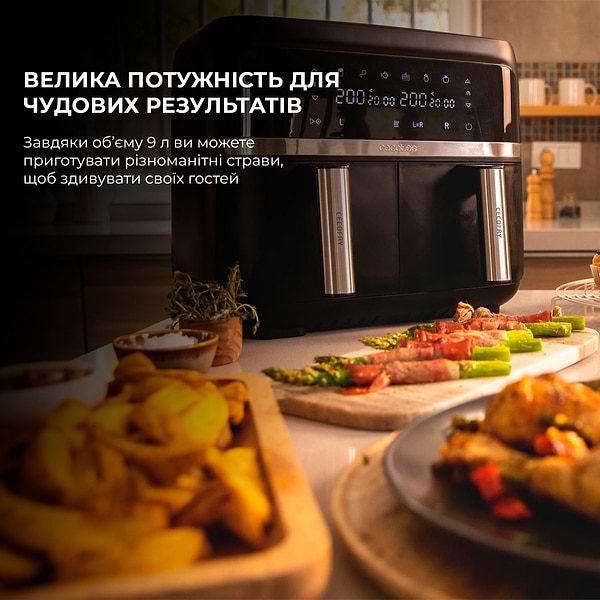 Фото - Мультипечь Cecotec Cecofry Advance Double (CCTC-04338)