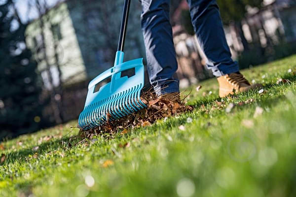 Фото - Граблі Cellfast IDEAL, комплект із рукавичками BASIC (40-311K)