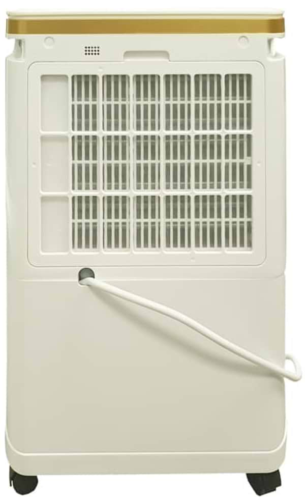 Фото - Осушувач повітря Cooper&Hunter CH-D005WD8-12LDWF