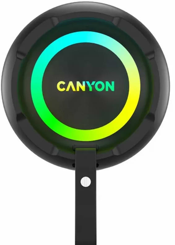 Фото - Портативная акустика Canyon OnMove 11 IPX6 TWS 20W EQ RGB Black (CNE-CBTSP11)